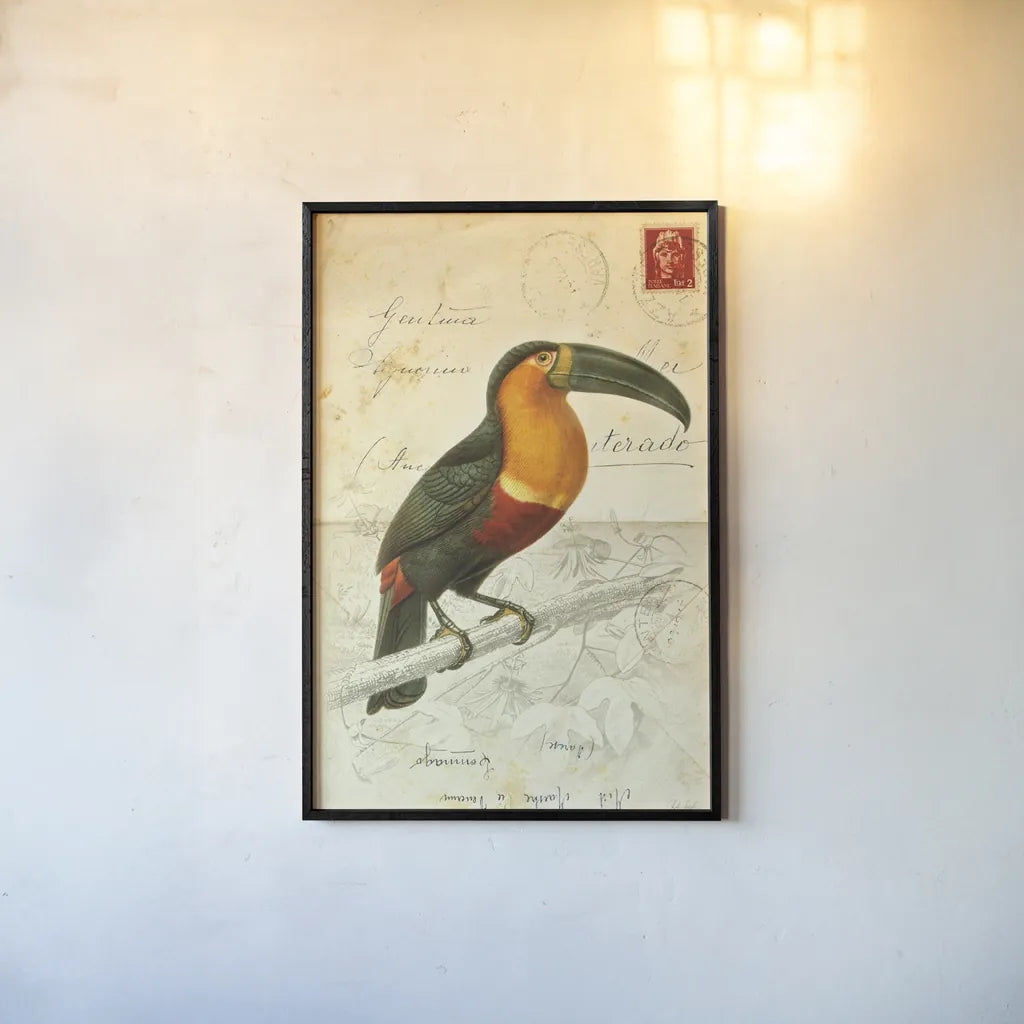 Pretty Bird I by Deborah Revell. shown as a paper print in a black flame. Available as a archival giclee rolled canvas, fine art paper, or poster print. SKU 92340h.