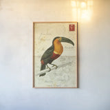 Pretty Bird I by Deborah Revell. shown as a paper print in a natural frame. Available as a archival giclee rolled canvas, fine art paper, or poster print. SKU 92340h.