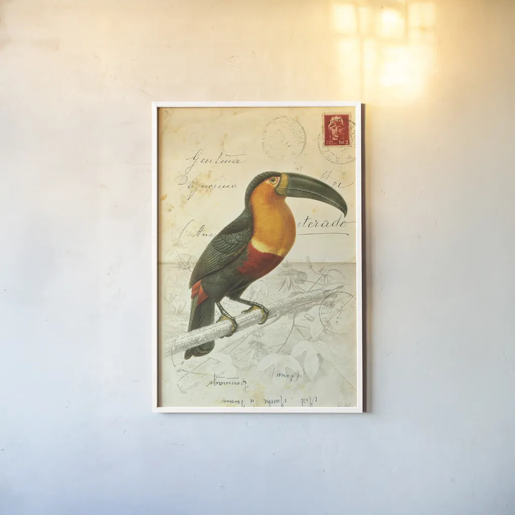 Pretty Bird I by Deborah Revell. shown as a paper print in a white frame. Available as a archival giclee rolled canvas, fine art paper, or poster print. SKU 92340h.