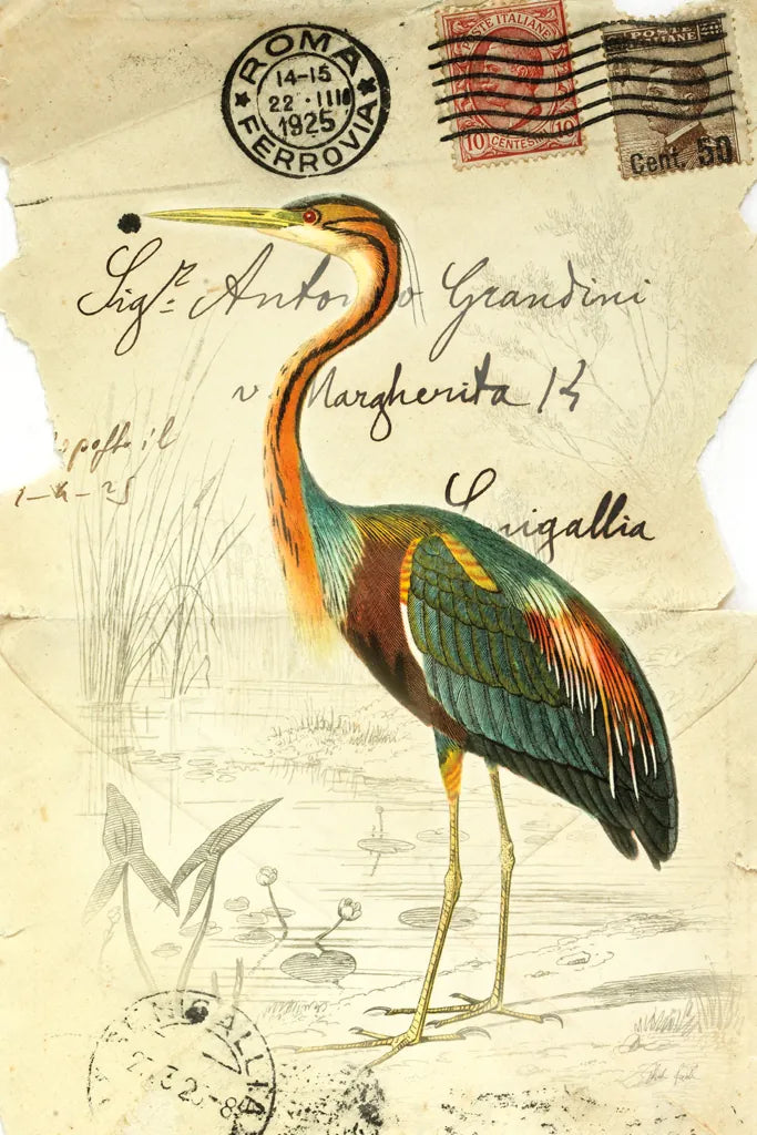 Pretty Bird II by Deborah Revell. SKU 92341h. Archival Giclee Fine art print for wall decor.