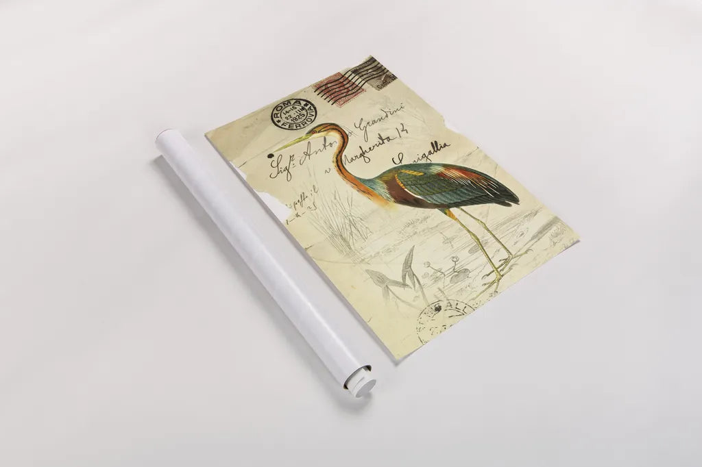 Pretty Bird II by Deborah Revell. shown as a rolled paper print. Available as archival giclee rolled canvas, fine art paper, or poster print. SKU 92341h.