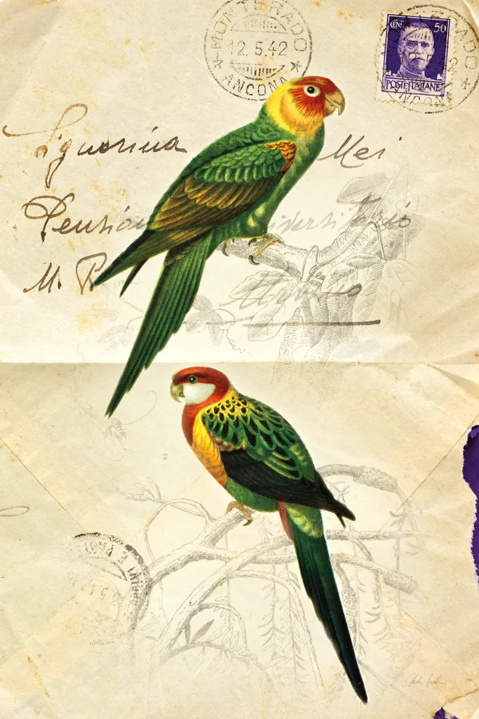 Pretty Bird III by Deborah Revell. SKU 92342h. Archival Giclee Fine art print for wall decor.