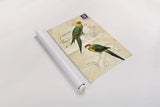 Pretty Bird III by Deborah Revell. shown as a rolled paper print. Available as archival giclee rolled canvas, fine art paper, or poster print. SKU 92342h.