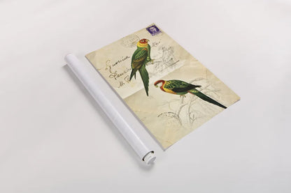 Pretty Bird III by Deborah Revell. shown as a rolled paper print. Available as archival giclee rolled canvas, fine art paper, or poster print. SKU 92342h.