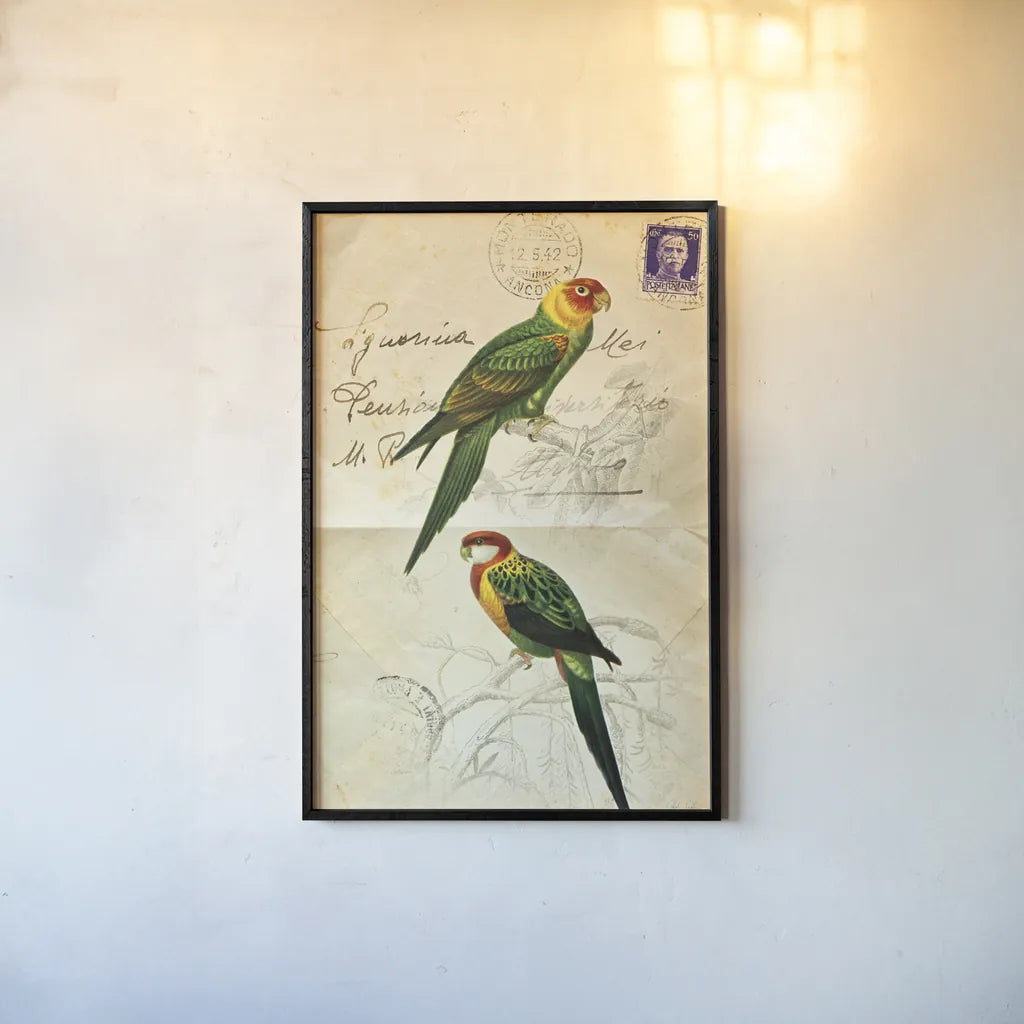 Pretty Bird III by Deborah Revell. shown as a paper print in a black flame. Available as a archival giclee rolled canvas, fine art paper, or poster print. SKU 92342h.