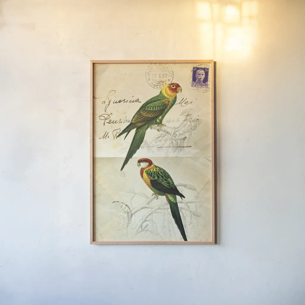 Pretty Bird III by Deborah Revell. shown as a paper print in a natural frame. Available as a archival giclee rolled canvas, fine art paper, or poster print. SKU 92342h.