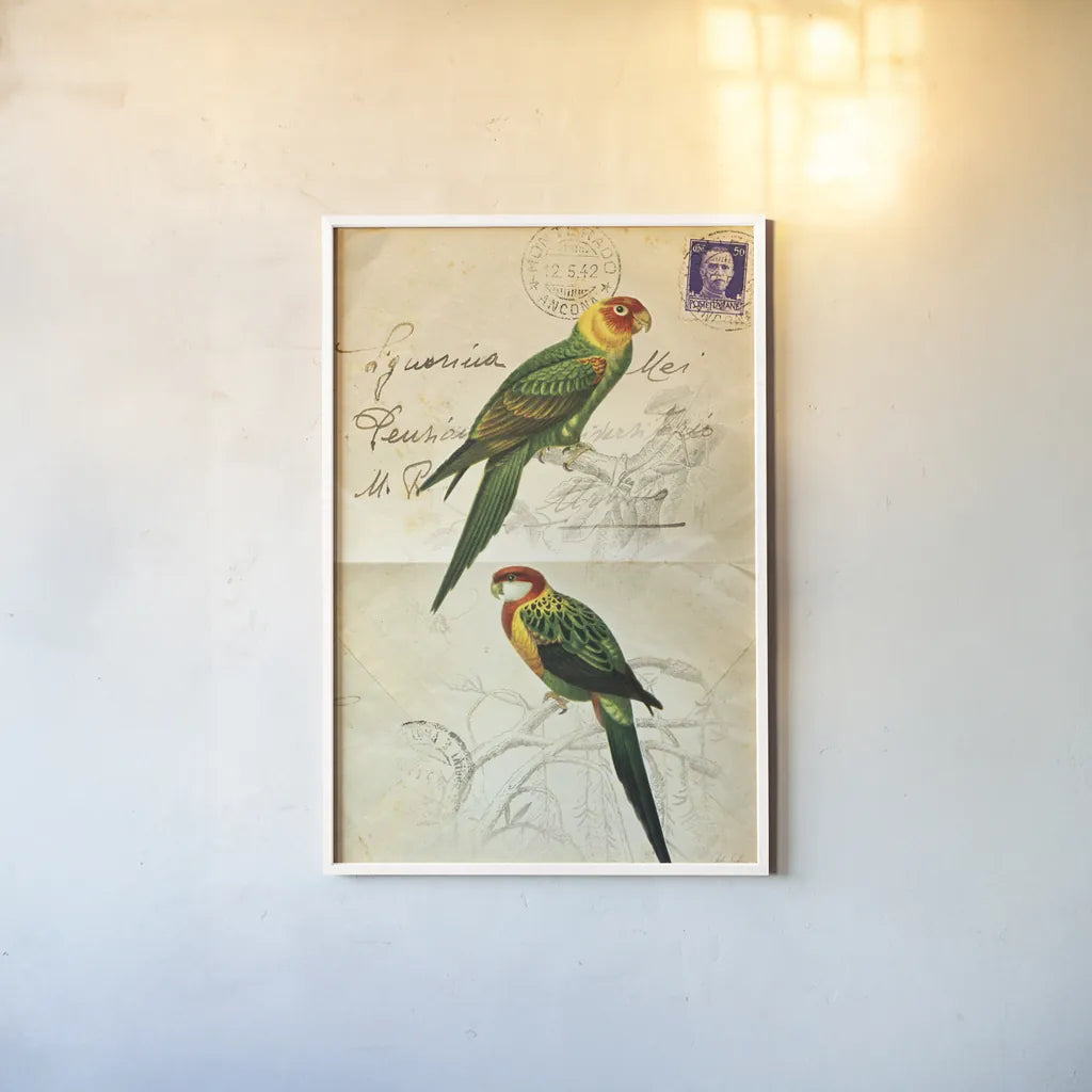 Pretty Bird III by Deborah Revell. shown as a paper print in a white frame. Available as a archival giclee rolled canvas, fine art paper, or poster print. SKU 92342h.