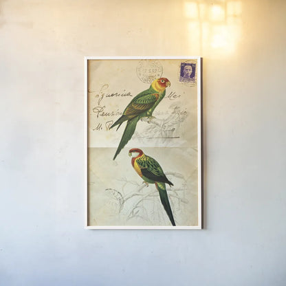 Pretty Bird III by Deborah Revell. shown as a paper print in a white frame. Available as a archival giclee rolled canvas, fine art paper, or poster print. SKU 92342h.