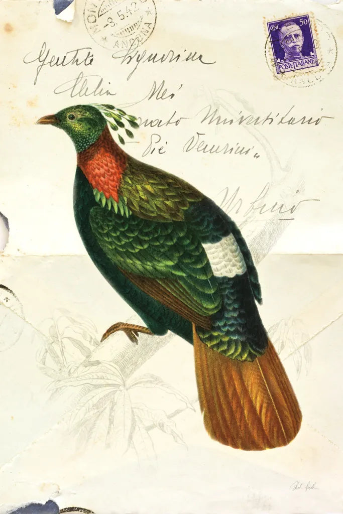 Pretty Bird IV by Deborah Revell. SKU 92343h. Archival Giclee Fine art print for wall decor.