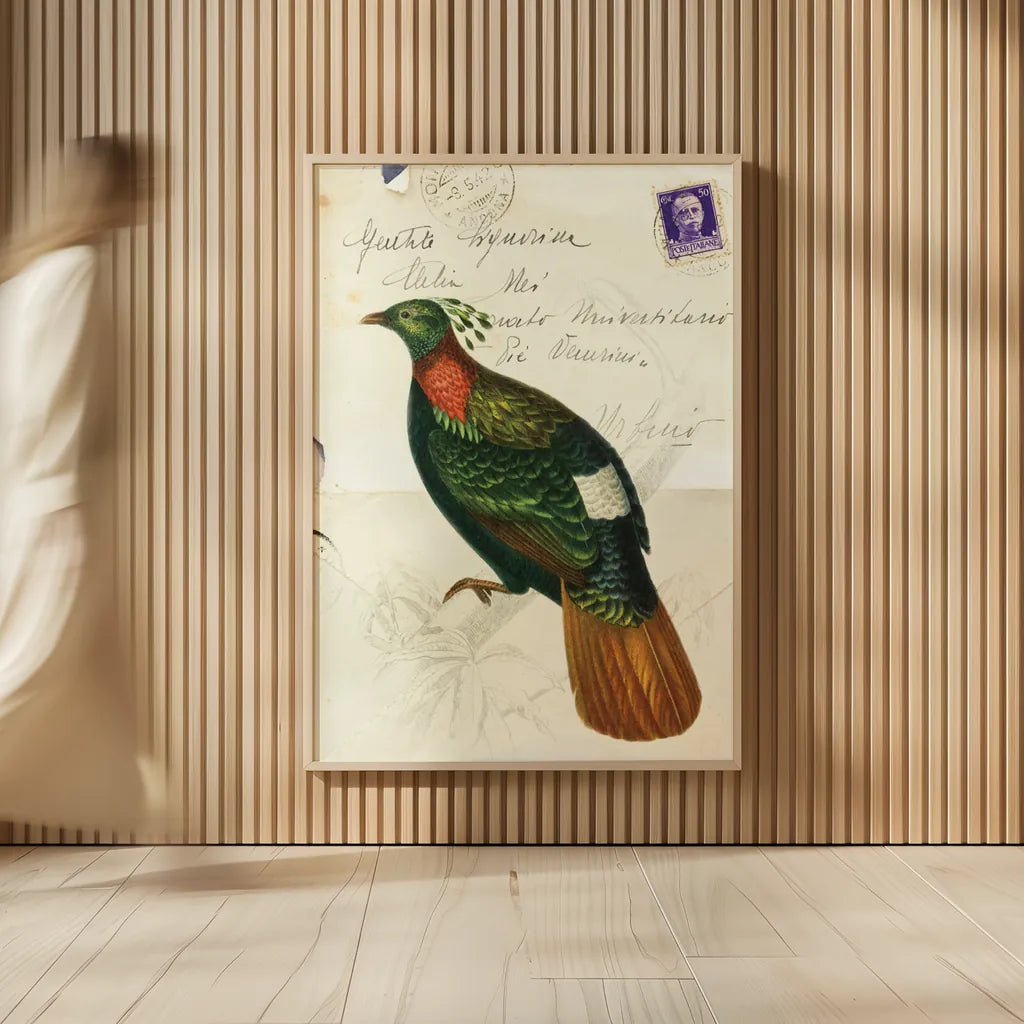 Pretty Bird IV by Deborah Revell. shown as over sized large wall art. Available as an archival giclee rolled canvas, fine art paper, or poster print. SKU 92343h.