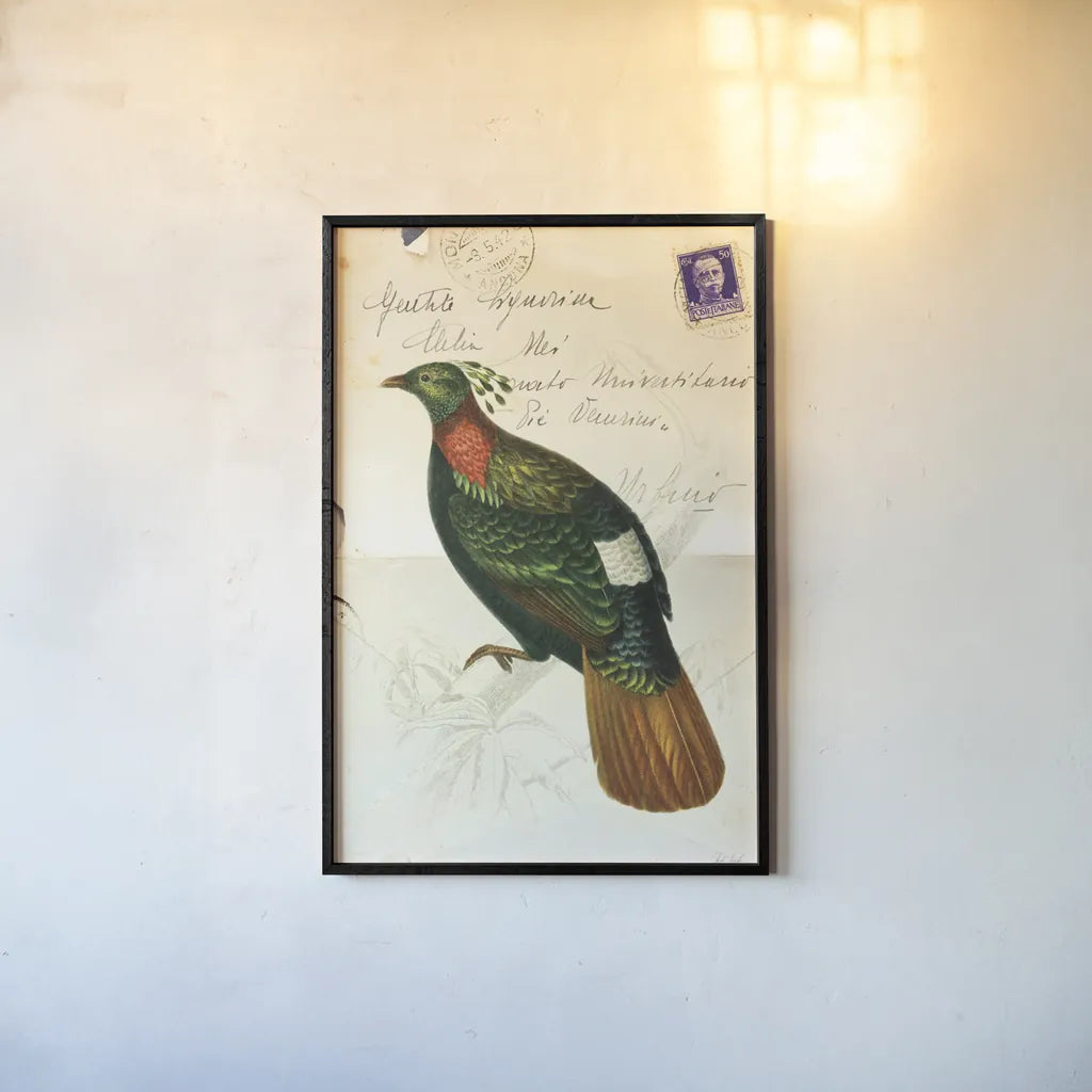 Pretty Bird IV by Deborah Revell. shown as a paper print in a black flame. Available as a archival giclee rolled canvas, fine art paper, or poster print. SKU 92343h.