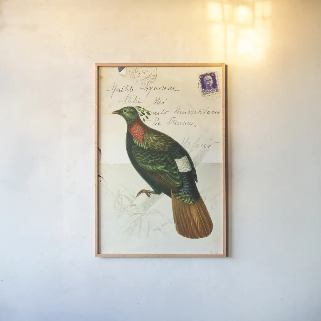 Pretty Bird IV by Deborah Revell. shown as a paper print in a natural frame. Available as a archival giclee rolled canvas, fine art paper, or poster print. SKU 92343h.