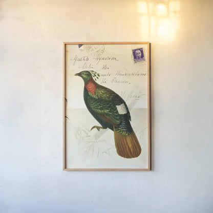 Pretty Bird IV by Deborah Revell. shown as a paper print in a natural frame. Available as a archival giclee rolled canvas, fine art paper, or poster print. SKU 92343h.