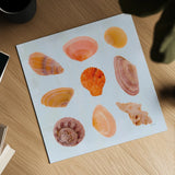 Pretty Shells by Deborah Revell. Shown as a detailed flat fine art print, highlighting archival giclee quality. Available as an archival giclee rolled canvas, fine art paper, or poster print. SKU 104897a.
