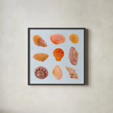 Pretty Shells by Deborah Revell. Shown in a sleek black glass frame for a contemporary gallery look. Available as an archival giclee rolled canvas, fine art paper, or poster print. SKU 104897a.