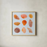 Pretty Shells by Deborah Revell. Shown in a natural wood glass frame for a timeless modern aesthetic. Available as an archival giclee rolled canvas, fine art paper, or poster print. SKU 104897a.
