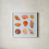 Pretty Shells by Deborah Revell. Shown in a crisp white glass frame for a clean and minimalist style. Available as an archival giclee rolled canvas, fine art paper, or poster print. SKU 104897a.