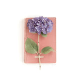 Purple Hydrangea on Book by Deborah Revell. SKU 98516a. Archival Giclee Fine art print for wall decor.