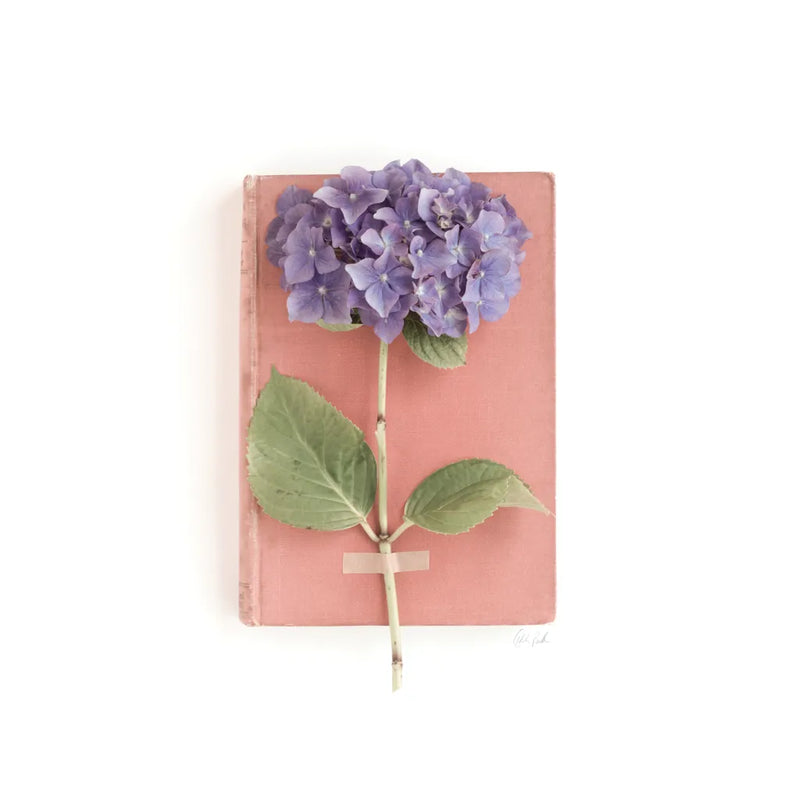 Purple Hydrangea on Book by Deborah Revell. SKU 98516a. Archival Giclee Fine art print for wall decor.