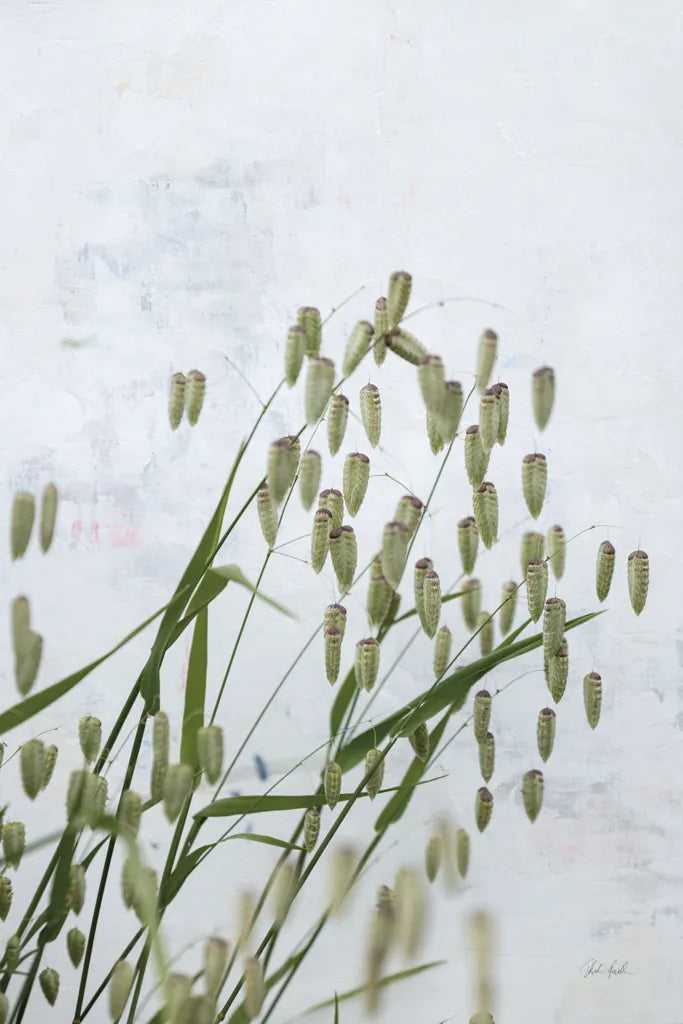 Quaking Grass by Deborah Revell. SKU 93431h. Archival Giclee Fine art print for wall decor.