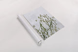 Quaking Grass by Deborah Revell. shown as a rolled paper print. Available as archival giclee rolled canvas, fine art paper, or poster print. SKU 93431h.