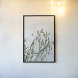 Quaking Grass by Deborah Revell. shown as a paper print in a black flame. Available as a archival giclee rolled canvas, fine art paper, or poster print. SKU 93431h.