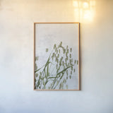 Quaking Grass by Deborah Revell. shown as a paper print in a natural frame. Available as a archival giclee rolled canvas, fine art paper, or poster print. SKU 93431h.