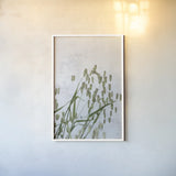 Quaking Grass by Deborah Revell. shown as a paper print in a white frame. Available as a archival giclee rolled canvas, fine art paper, or poster print. SKU 93431h.