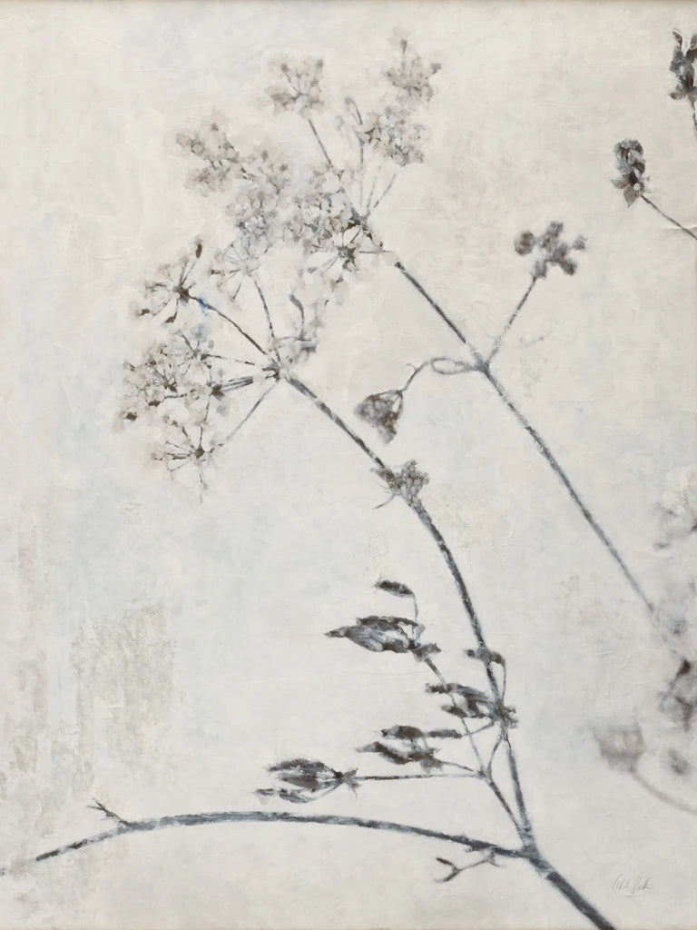 Queen Annes Lace by Deborah Revell