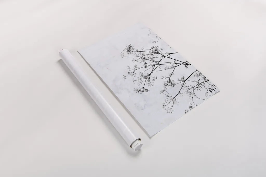 Queen Annes Lace by Deborah Revell. shown as a rolled paper print. Available as archival giclee rolled canvas, fine art paper, or poster print. SKU 93422h.