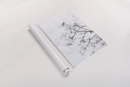 Queen Annes Lace by Deborah Revell. shown as a rolled paper print. Available as archival giclee rolled canvas, fine art paper, or poster print. SKU 93422h.