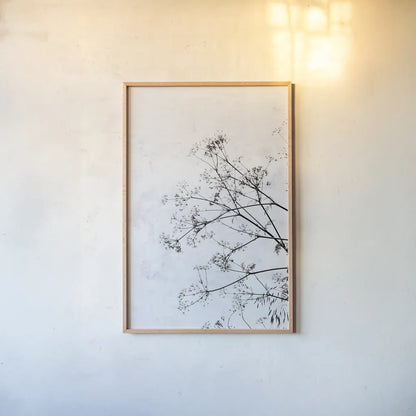 Queen Annes Lace by Deborah Revell. shown as a paper print in a natural frame. Available as a archival giclee rolled canvas, fine art paper, or poster print. SKU 93422h.