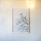 Queen Annes Lace by Deborah Revell. shown as a paper print in a white frame. Available as a archival giclee rolled canvas, fine art paper, or poster print. SKU 93422h.