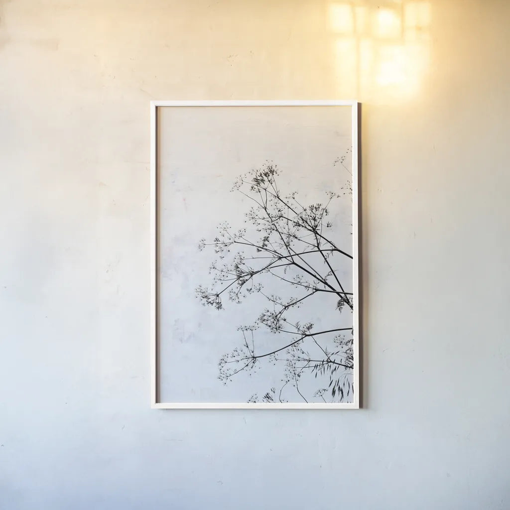 Queen Annes Lace by Deborah Revell. shown as a paper print in a white frame. Available as a archival giclee rolled canvas, fine art paper, or poster print. SKU 93422h.