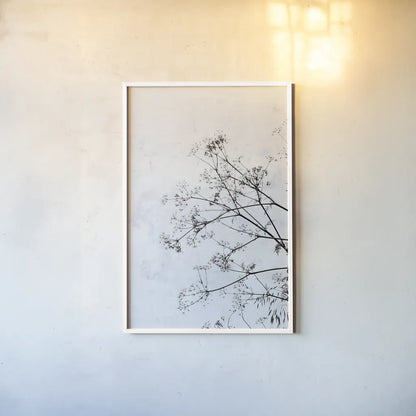 Queen Annes Lace by Deborah Revell. shown as a paper print in a white frame. Available as a archival giclee rolled canvas, fine art paper, or poster print. SKU 93422h.