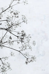 Queen Annes Lace II by Deborah Revell. SKU 95158h. Archival Giclee Fine art print for wall decor.