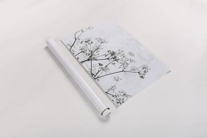 Queen Annes Lace II by Deborah Revell. shown as a rolled paper print. Available as archival giclee rolled canvas, fine art paper, or poster print. SKU 95158h.