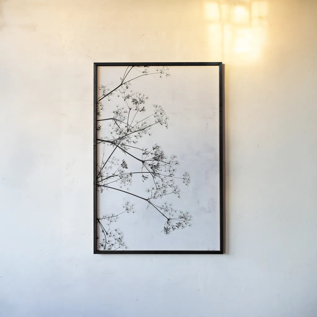 Queen Annes Lace II by Deborah Revell. shown as a paper print in a black flame. Available as a archival giclee rolled canvas, fine art paper, or poster print. SKU 95158h.