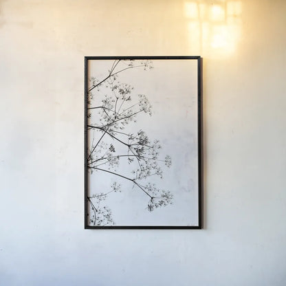 Queen Annes Lace II by Deborah Revell. shown as a paper print in a black flame. Available as a archival giclee rolled canvas, fine art paper, or poster print. SKU 95158h.