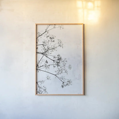 Queen Annes Lace II by Deborah Revell. shown as a paper print in a natural frame. Available as a archival giclee rolled canvas, fine art paper, or poster print. SKU 95158h.