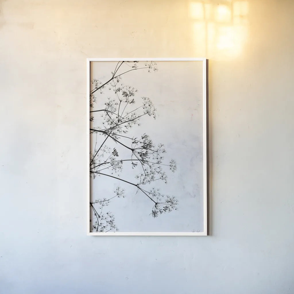 Queen Annes Lace II by Deborah Revell. shown as a paper print in a white frame. Available as a archival giclee rolled canvas, fine art paper, or poster print. SKU 95158h.