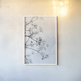 Queen Annes Lace II by Deborah Revell. shown as a paper print in a white frame. Available as a archival giclee rolled canvas, fine art paper, or poster print. SKU 95158h.