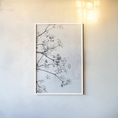 Queen Annes Lace II by Deborah Revell. shown as a paper print in a white frame. Available as a archival giclee rolled canvas, fine art paper, or poster print. SKU 95158h.