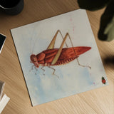 Red Grasshopper by Deborah Revell. Shown as a detailed flat fine art print, highlighting archival giclee quality. Available as an archival giclee rolled canvas, fine art paper, or poster print. SKU 91139a.
