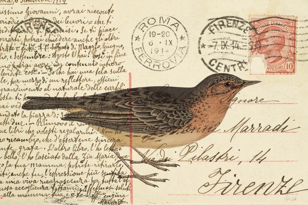 Red Throated Pipit by Deborah Revell. SKU 101620i. Archival Giclee Fine art print for wall decor.