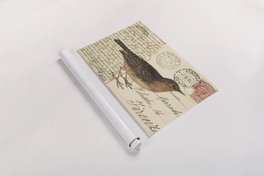 Red Throated Pipit by Deborah Revell. shown as a rolled paper print. Available as archival giclee rolled canvas, fine art paper, or poster print. SKU 101620i.