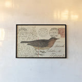 Red Throated Pipit by Deborah Revell. shown as a paper print in a black flame. Available as a archival giclee rolled canvas, fine art paper, or poster print. SKU 101620i.