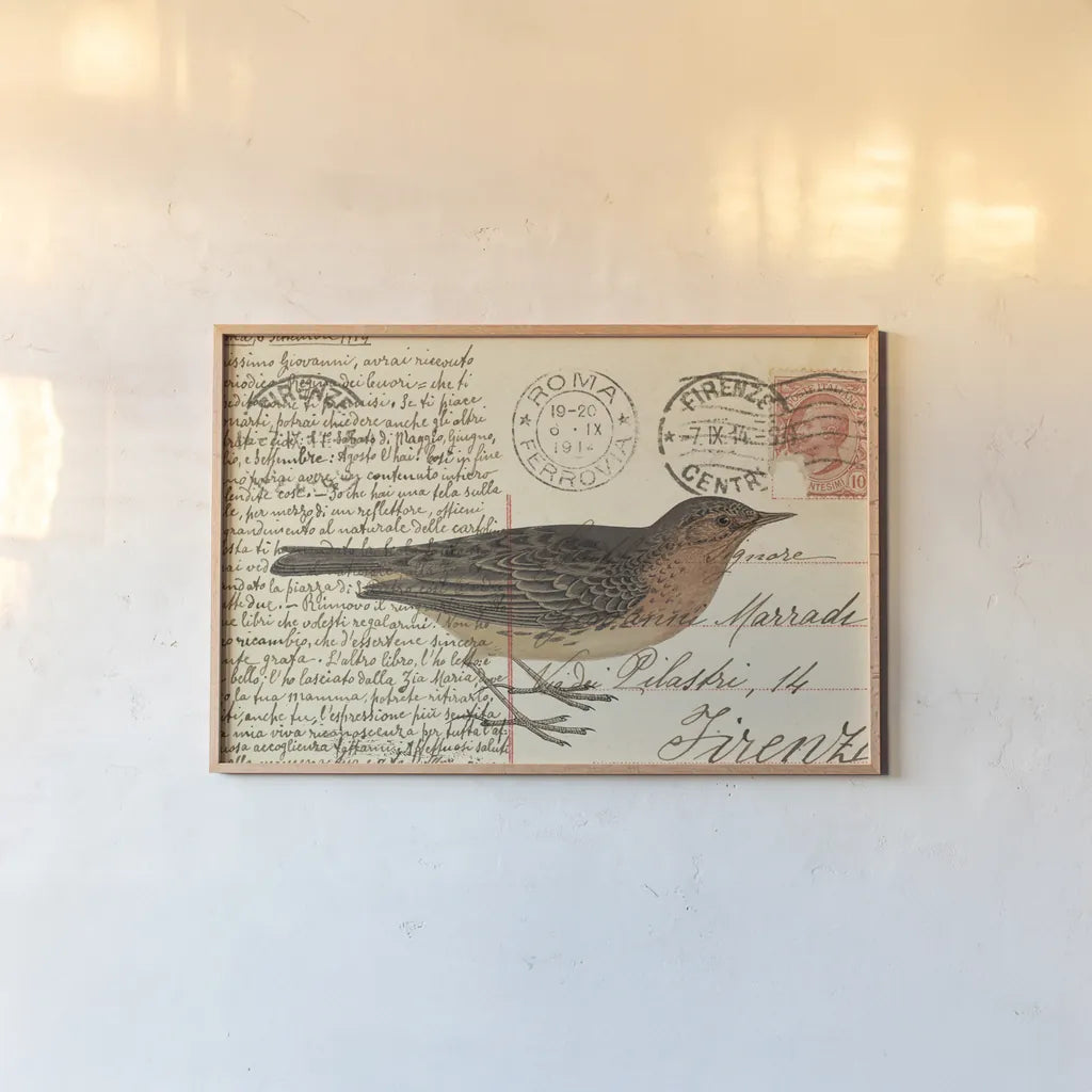 Red Throated Pipit by Deborah Revell. shown as a paper print in a natural frame. Available as a archival giclee rolled canvas, fine art paper, or poster print. SKU 101620i.