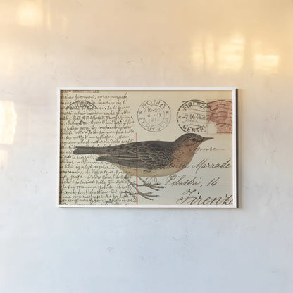 Red Throated Pipit by Deborah Revell. shown as a paper print in a white frame. Available as a archival giclee rolled canvas, fine art paper, or poster print. SKU 101620i.