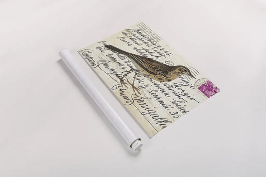 Richards Pipit by Deborah Revell. shown as a rolled paper print. Available as archival giclee rolled canvas, fine art paper, or poster print. SKU 101621i.